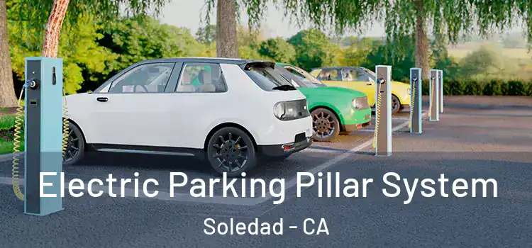 Electric Parking Pillar System Soledad - CA